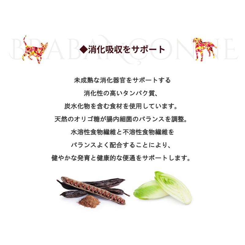 【新品、未開封】ブラバンソンヌ　チキン　１kg　２袋 BRABANCONNE（ブラバンソンヌ） アウトレット セール 賞味期限間近
