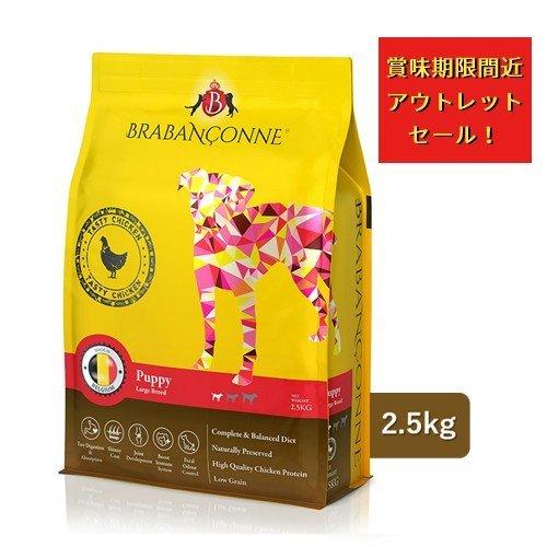 アウトレット セール 賞味期限間近：2026年6月28日 ブラバンソンヌ 大型犬 中型犬 子犬用 ドッグフード チキン 2.5kg 消化器ケア 訳あり 期間限定（Yahoo!・WePet プレミアムペットフード専門店）