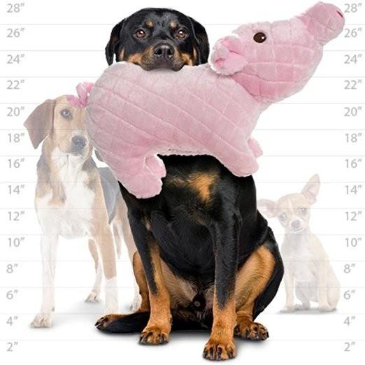 基礎理論 奇跡的な 変な 犬 おもちゃ タフィー fansent.jp