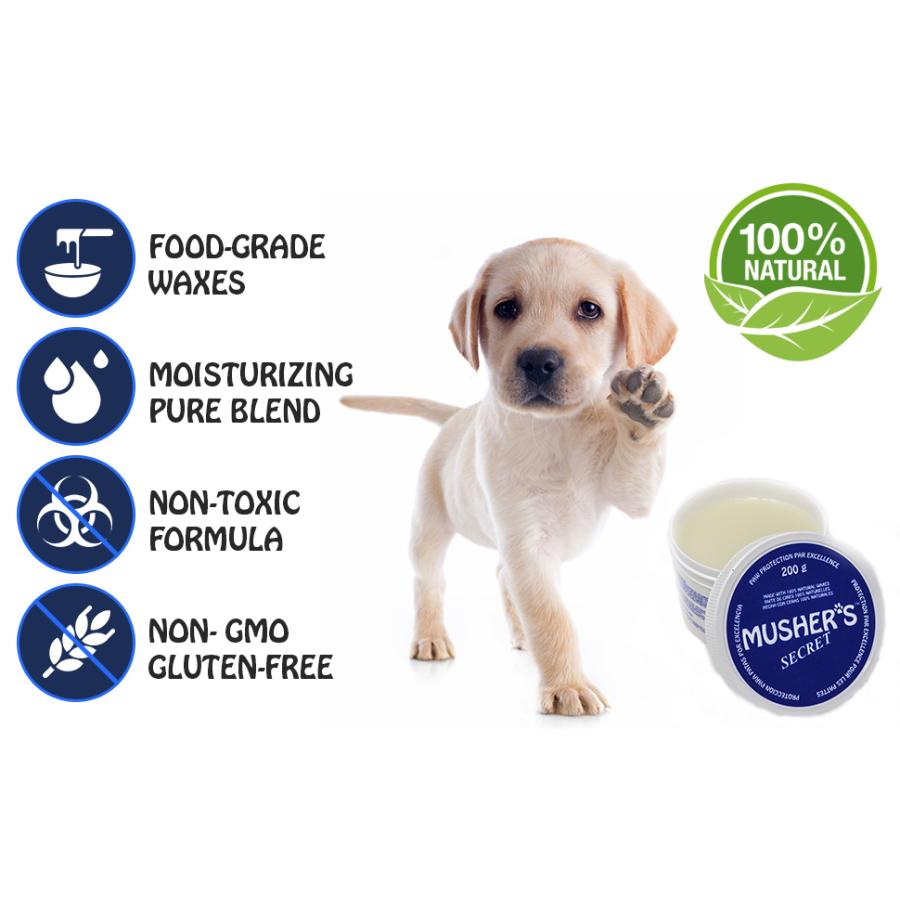 肉球クリーム 犬 犬用 足裏 保護クリーム 保湿 肉球 カサカサ ケア 角質 マッシャーズ シークレット 0g B00ixa8u8s ウエストリテイリングマーケット 通販 Yahoo ショッピング