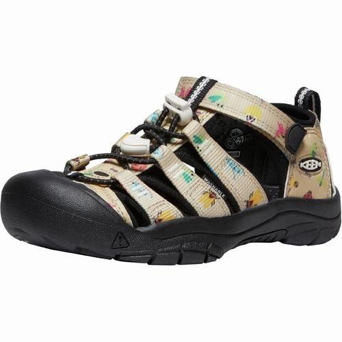 NEWPORTH2 KEEN （キーン） （ニューポートエイチツー） -InsectCollection