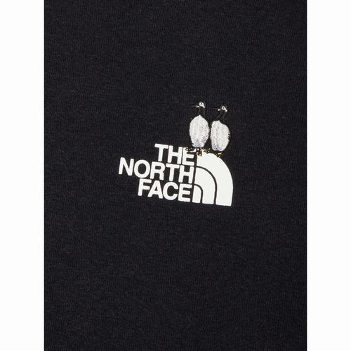 ZooPickerHoodie THENORTHFACE（ザ・ノースフェイス）（ズーピッカーフーディ（ユニセックス））-SPの画像