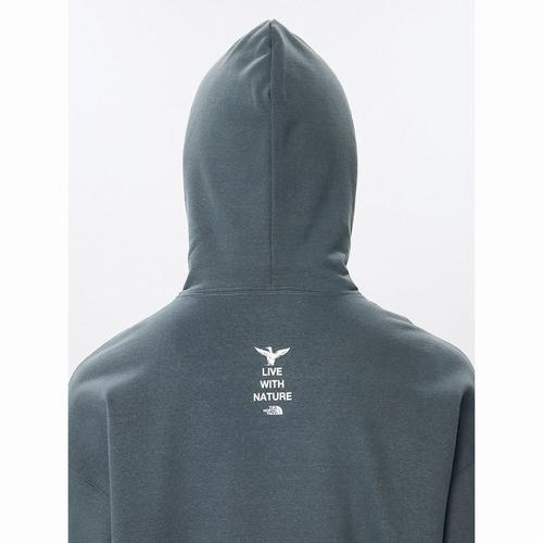 ZooPickerHoodie THENORTHFACE（ザ・ノースフェイス）（ズーピッカーフーディ（ユニセックス））-SPの画像