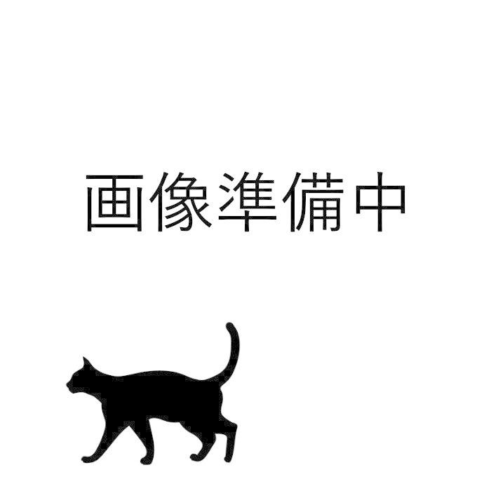 RICOH ガーメントインクカートリッジ W1 タイプ G1 514526 200ml