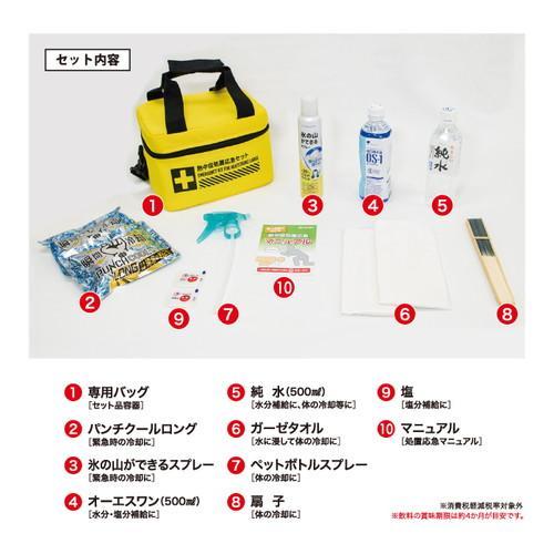 昭和ろく‼️４機セット(ＪＡＡ／ＱＦＡ／ＮＣＡ／ＭＥＸ)お纏めセット梱包 昭和商会 熱中症処置応急セット N25-87 ラージセット 熱中症対策セット
