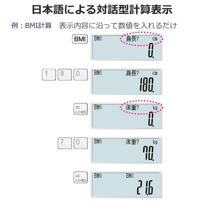 CASIO カシオ 薬剤師 専用計算電卓 SP-100PH ポケットサイズ CASIO カシオ 薬剤師 専用計算電卓 SP-100PH ポケットサイズ
