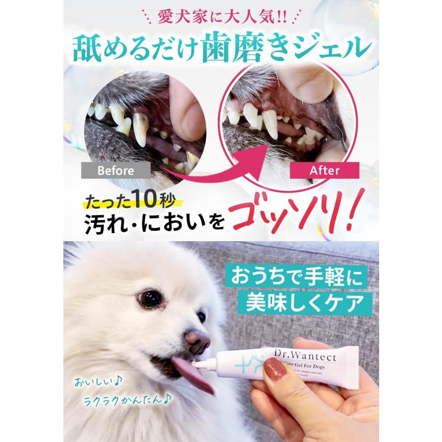 Ｄｒ．Ｗａｎｔｅｃｔ 犬用 歯磨きジェル 口腔ケア 犬 歯磨き 歯磨き粉 デンタルケア 歯石取り 歯垢除去 口臭ケア ドクターワンテクト 23g (0｜westbay-link｜02