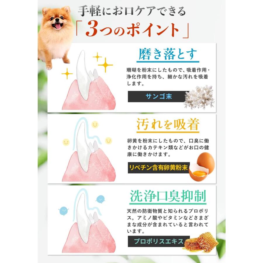 Ｄｒ．Ｗａｎｔｅｃｔ 犬用 歯磨きジェル 口腔ケア 犬 歯磨き 歯磨き粉 デンタルケア 歯石取り 歯垢除去 口臭ケア ドクターワンテクト 23g (0｜westbay-link｜03