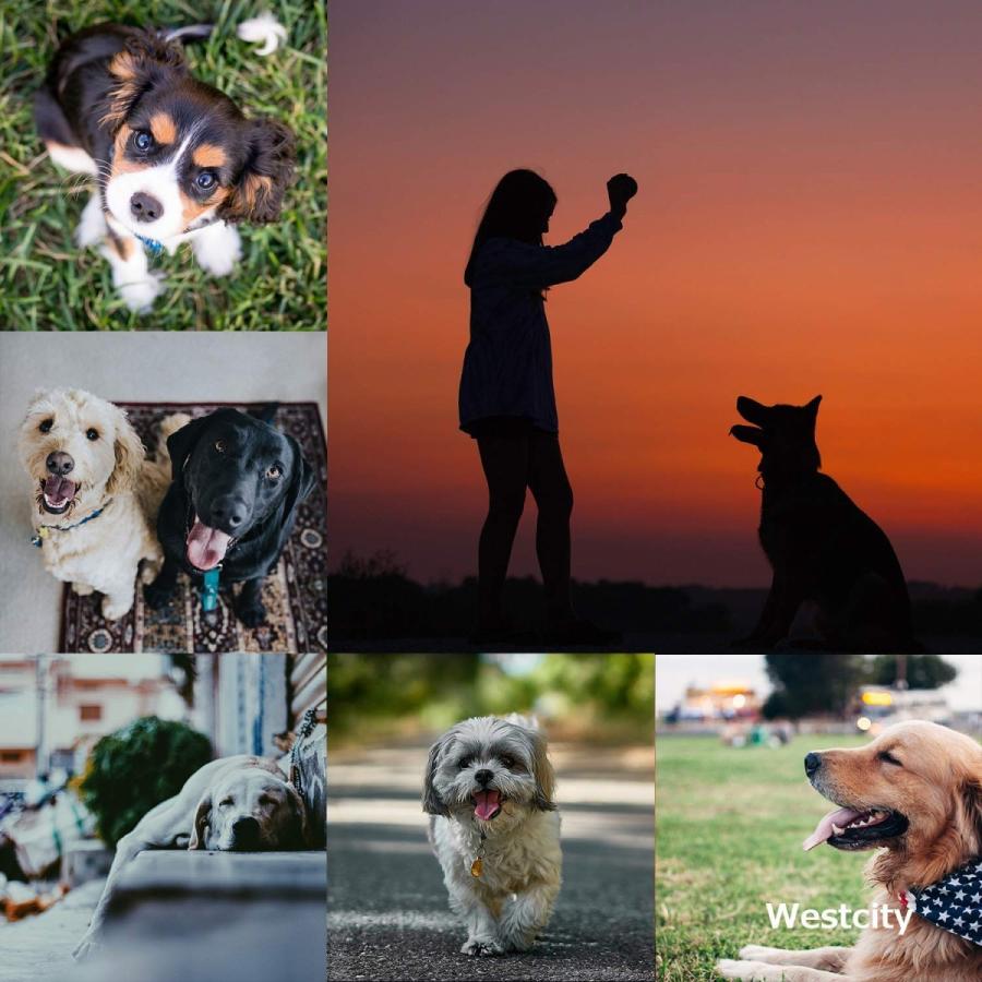 両手セット グルーミング グローブ ペット ブラシ 手袋 コーム 気持ちいい 猫 犬 送料無料 ポイント消化 いいネット通販 通販 Yahoo ショッピング