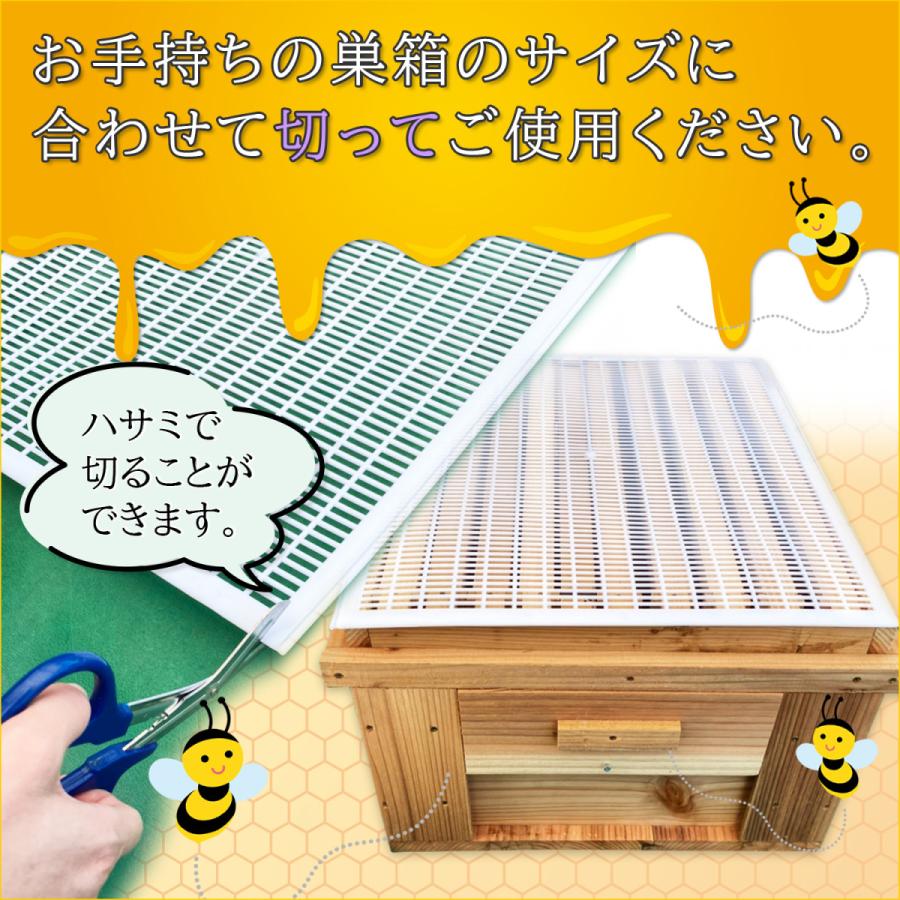 女王蜂アイソレーター(1枚用)6枚セット 西洋みつばち道具 楽天市場】女王蜂アイソレーター : 俵養蜂場 楽天市場店