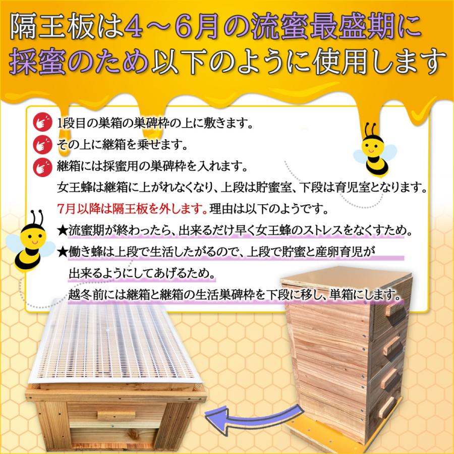 隔王板 養蜂 50枚セット みつばち 女王蜂 逃げ防止 プラスチック 白色