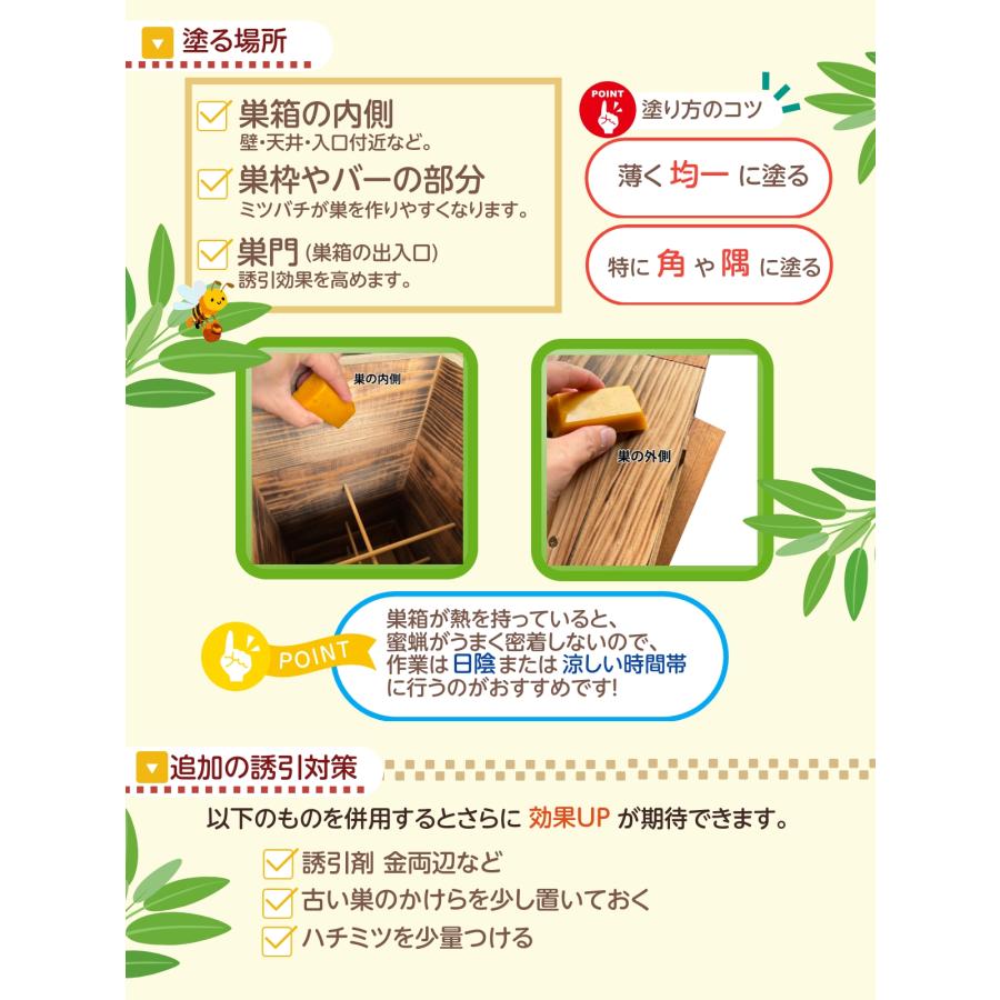 日本蜜蜂 蜜蝋 誘引剤 3個セット 約100g 手に持ちやすい 日本蜜蜂の