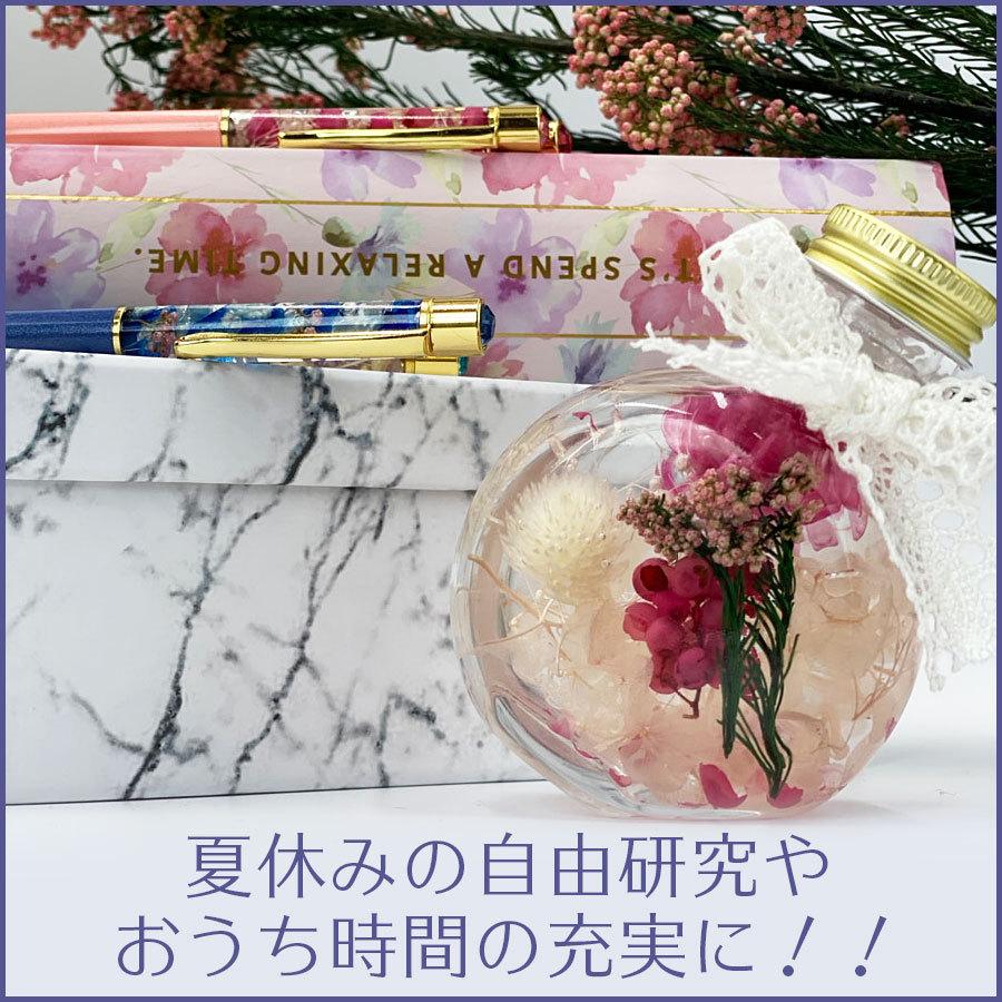 自由研究 キット 送料込 工作 ハーバリウムキット スターターセット 3点セット 夏休み 自由工作