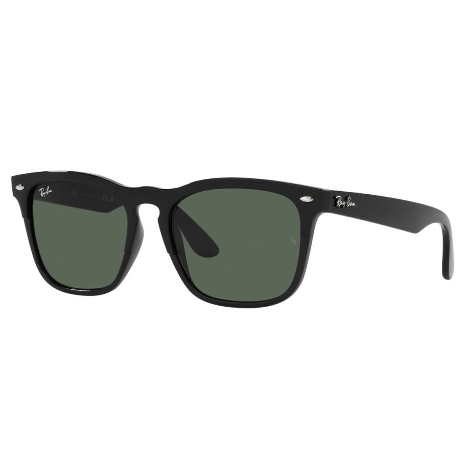 Ray-Ban レイバン IRIS RB4471 662971 54 BLACK サングラス Ray-Ban レイバン IRIS RB4471 662971 54 BLACK サングラス
