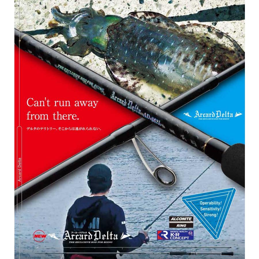 SLASH（スラッシュ） ARCARD DELTAアーカードデルタ ARD-862L 262cm