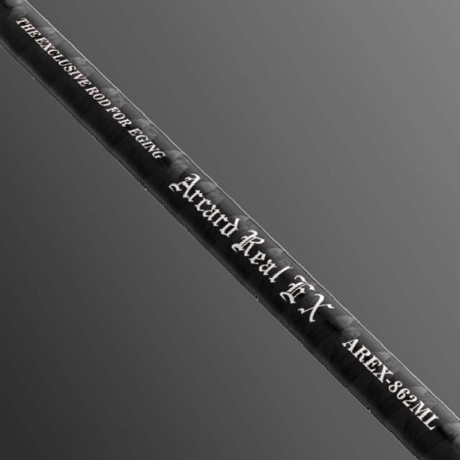 スラッシュSLASH アーカードリアルEX ARCARD REAL EX AREX-862ML
