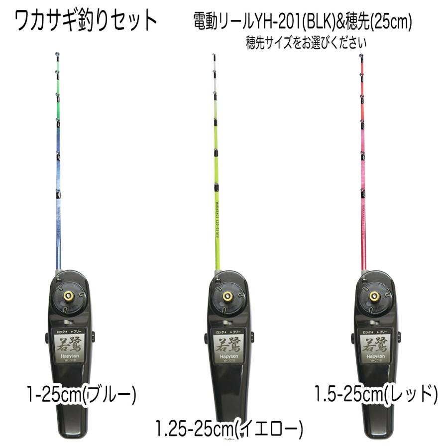 わかさぎセット 極技ワカサギ替え穂先 25cm HAPYSON 電動リール わかさぎセット 極技ワカサギ替え穂先 25cm HAPYSON 電動リール