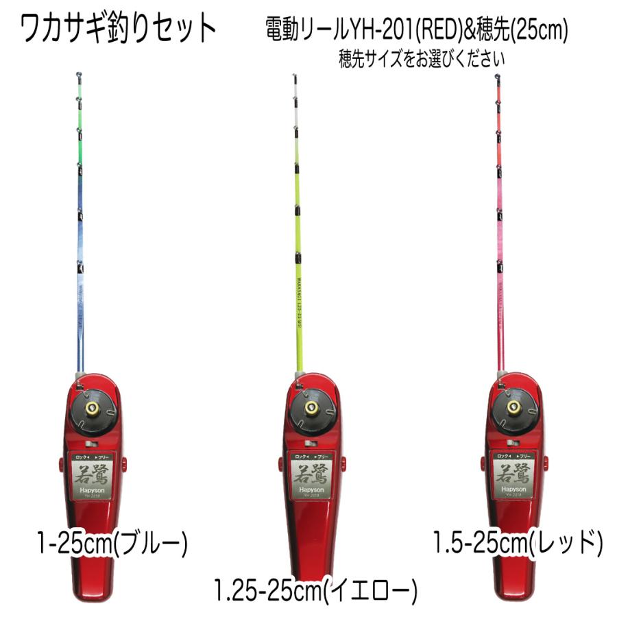 わかさぎセット 極技ワカサギ替え穂先 25cm HAPYSON 電動リール わかさぎセット 極技ワカサギ替え穂先 25cm HAPYSON 電動リール