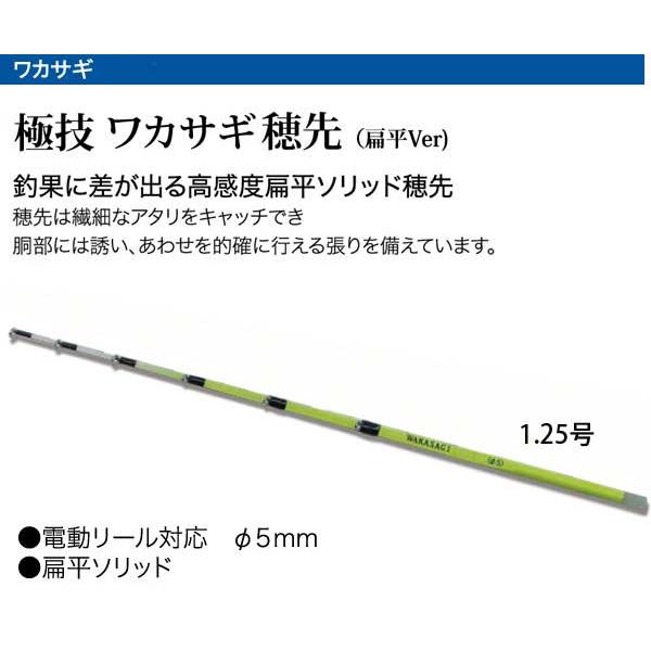 わかさぎセット 極技ワカサギ替え穂先 30cm HAPYSON 電動リールYH-202