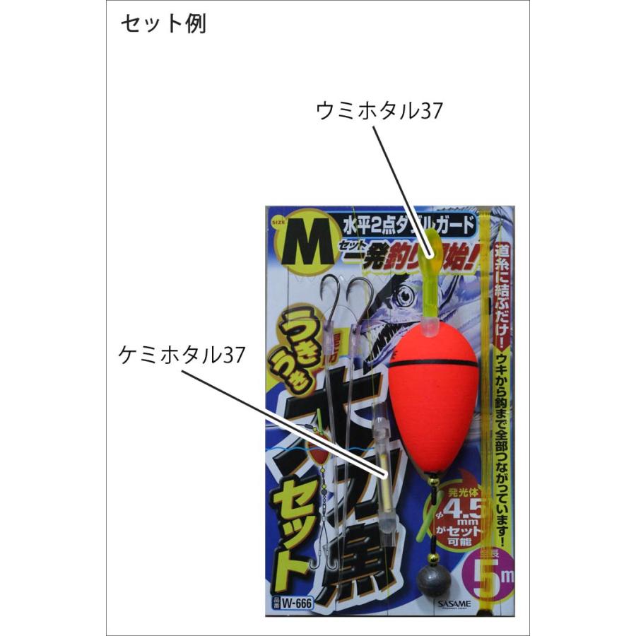 太刀魚タチウオウキ釣り直行セット REALCASTERSET360,太刀魚ウキ仕掛け