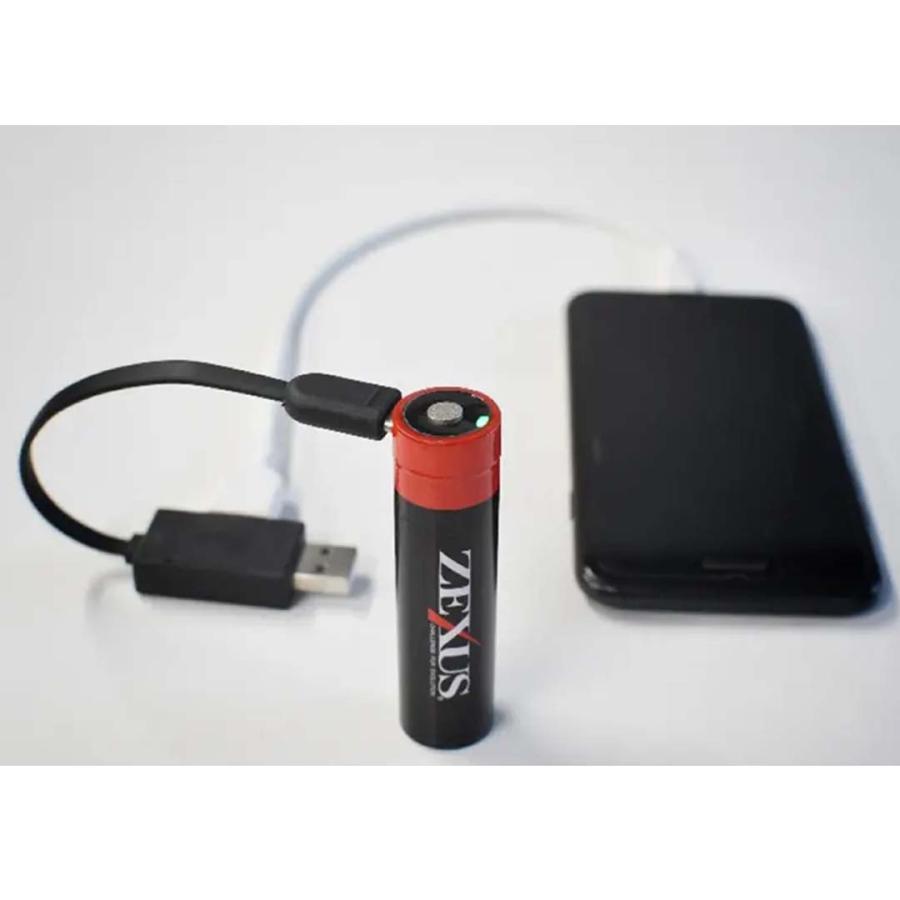 冨士灯器 冨士灯器フジトウキ ZX-R730 ヘッドライト 207067 ZEXUS