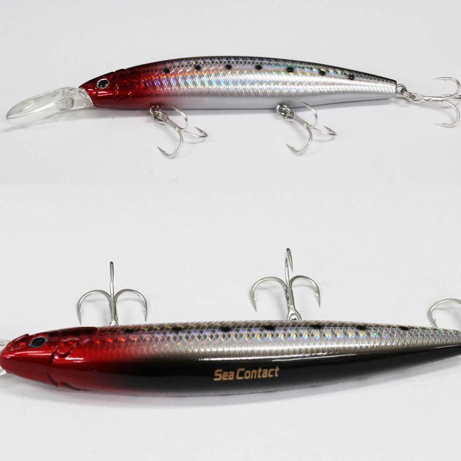 プロトラストPROTRUST シーコンタクト ダイブサーディン PT-9010 120S