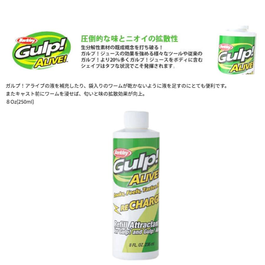 Gulp ガルプ セット リチャージジュース等 Www Udingamedia Nl