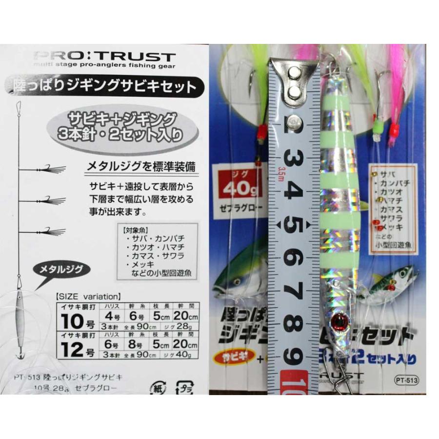 Pro Trustプロトラスト Pt 513 陸っぱりジギングサビキセット ジグ40g 3243 Protrust A 005 ウエストコースト アウトドアshop 通販 Yahoo ショッピング