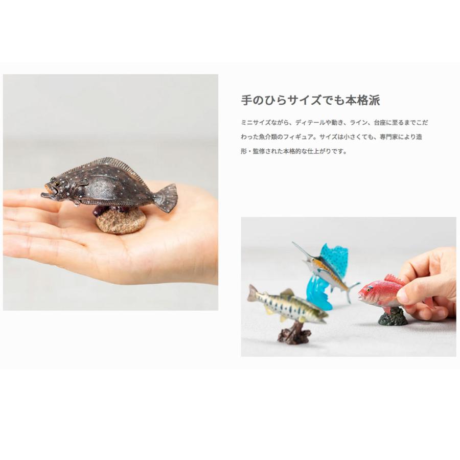FAVORITO FAVORITE フェバリット AQUA FISH MINI MODEL アクア