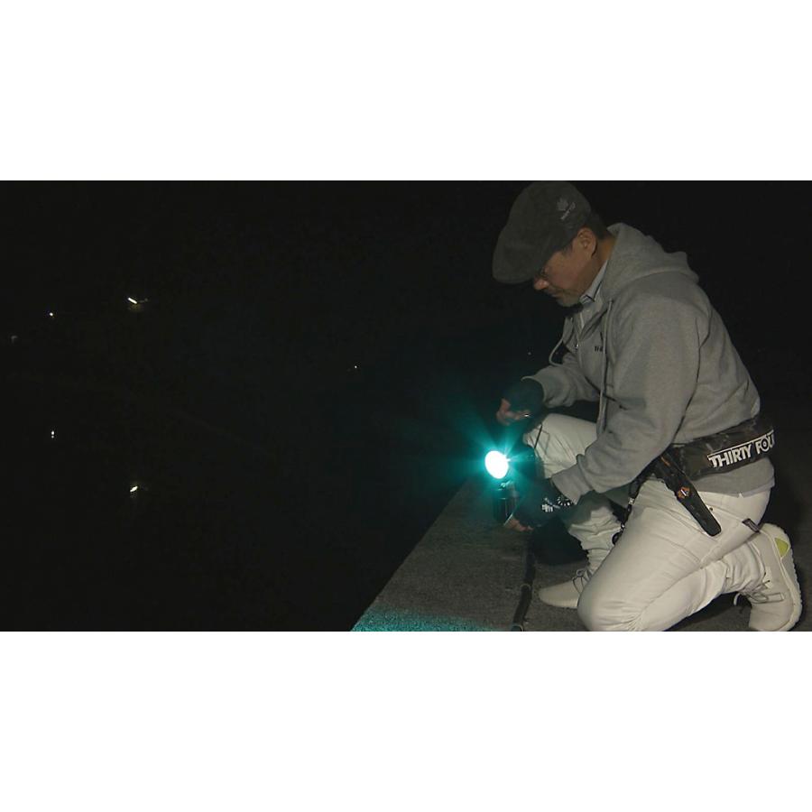 Hapyson ハピソンHAPYSON YF-502 高輝度LED 投光型集魚灯 : ウエスト