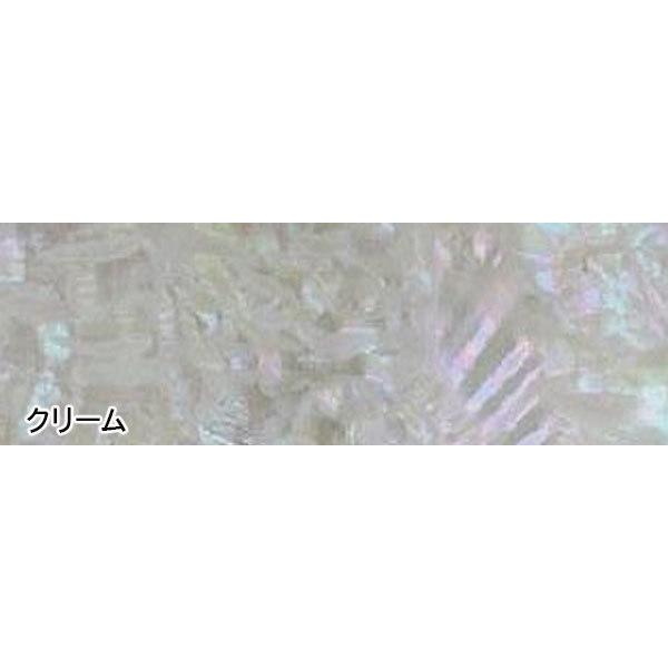 激レア】 トミポップ ボルト アワビ貼り アバロン アワビシート 【公式