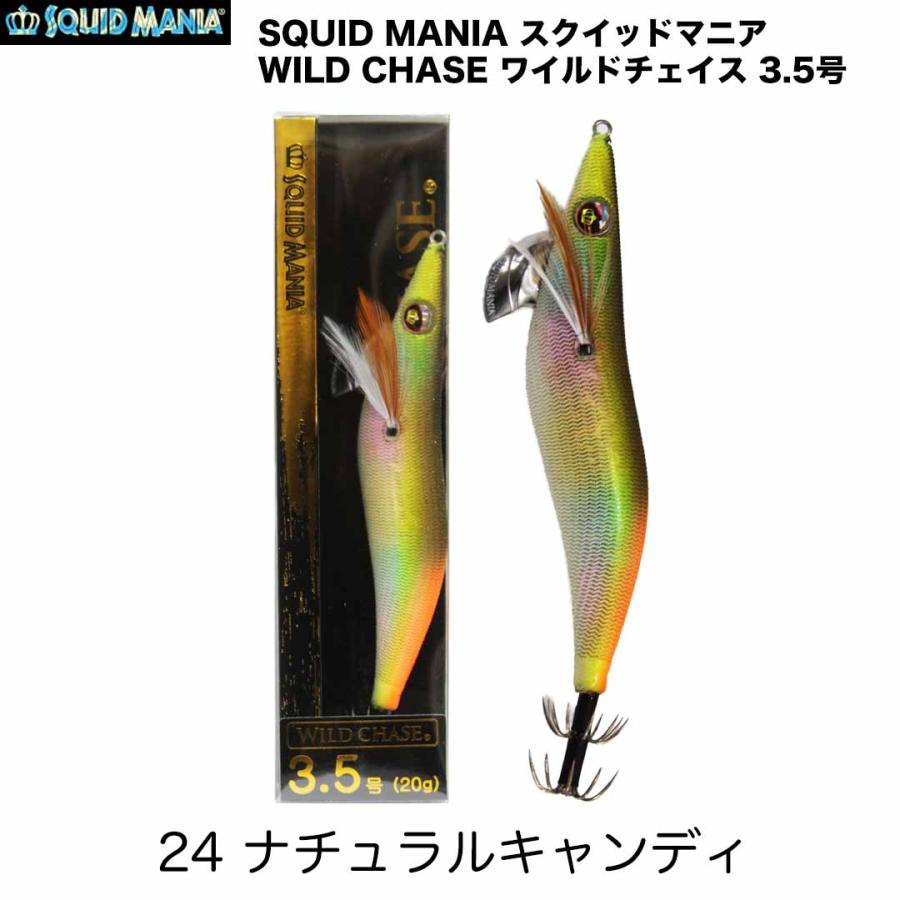 SQUID MANIA（スクイッドマニア） WILD CHASE ワイルドチェイス 3.5号