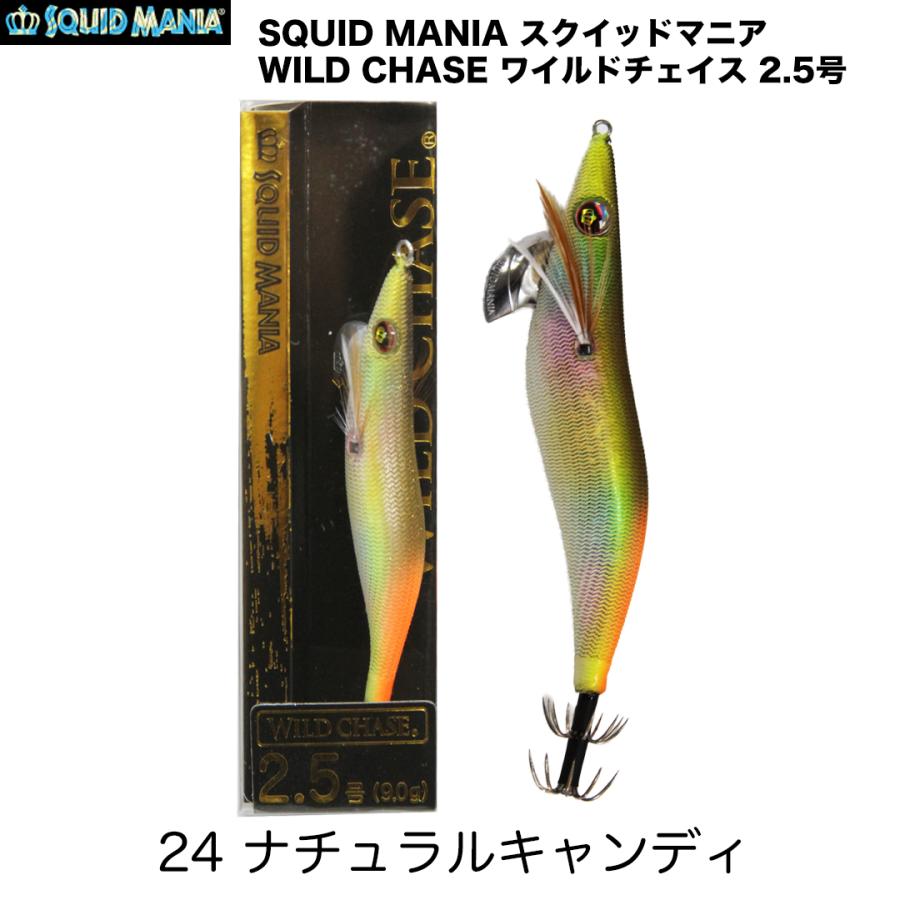 SQUID MANIA（スクイッドマニア） WILD CHASE ワイルドチェイス 2.5号