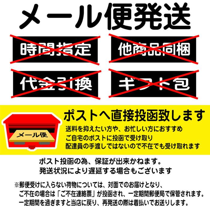 スクイッドマニア (がっつです) 他の方購入不可です SQUID MANIA（スクイッドマニア） WILD CHASE ワイルドチェイス 3.0号