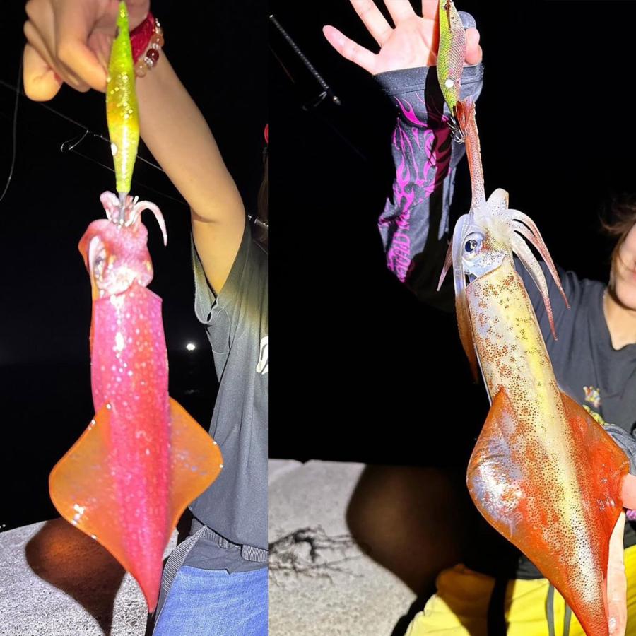 スクイーズ 2009-2025) Coffman Slip-On Exhaust Kawasaki Ninja ZX6R ZX-6R