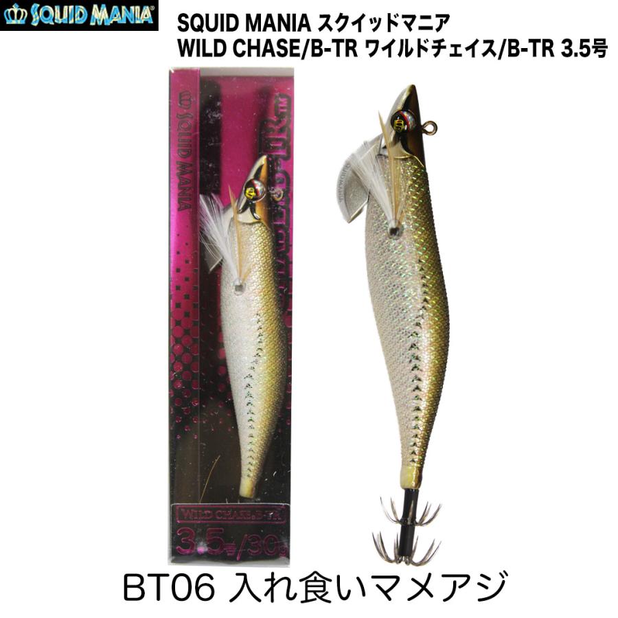 SQUID MANIA（スクイッドマニア） WILD CHASE/B-TR ワイルドチェイス/B