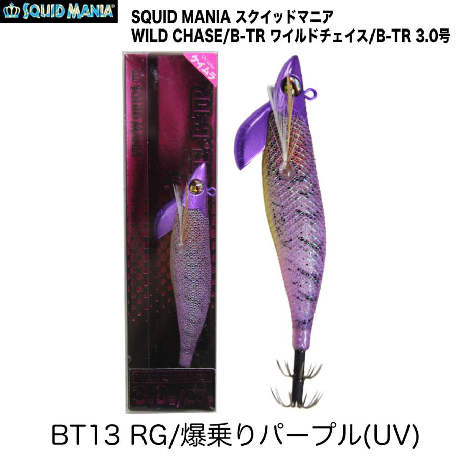 SQUID MANIA（スクイッドマニア） WILD CHASE/B-TR ワイルドチェイス/B