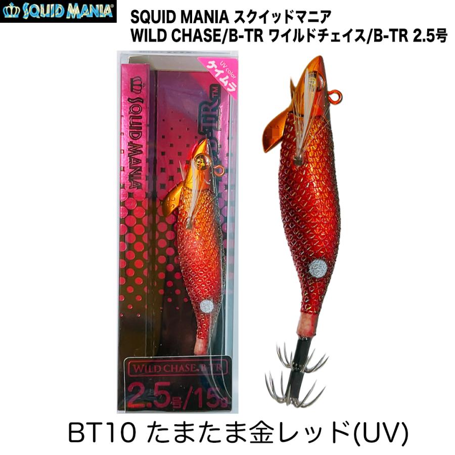 SQUID MANIA（スクイッドマニア） WILD CHASE/B-TR ワイルドチェイス/B