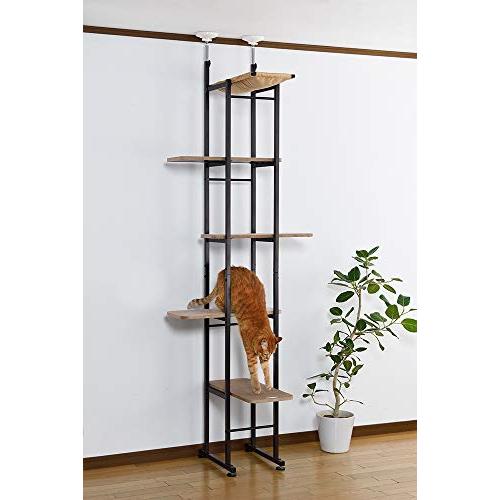 ボンビアルコン (Bonbi) キャットベース キャットベース