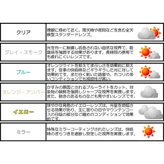 SCOTT ゴーグルパーツ ワークス Wレンズ (PROSPECT用 ) ピン付き