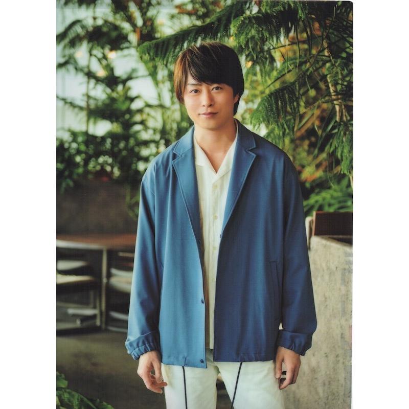 嵐 櫻井翔 嵐フェス クリアファイル 公式グッズ Wejfi192 Wetnosedog Company 通販 Yahoo ショッピング