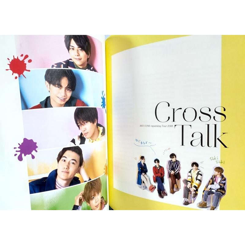 Sexy Zone Sexy Zone Repainting Tour 18 パンフレット 公式グッズ 中古ランクa Wejpf Wetnosedog Company 通販 Yahoo ショッピング