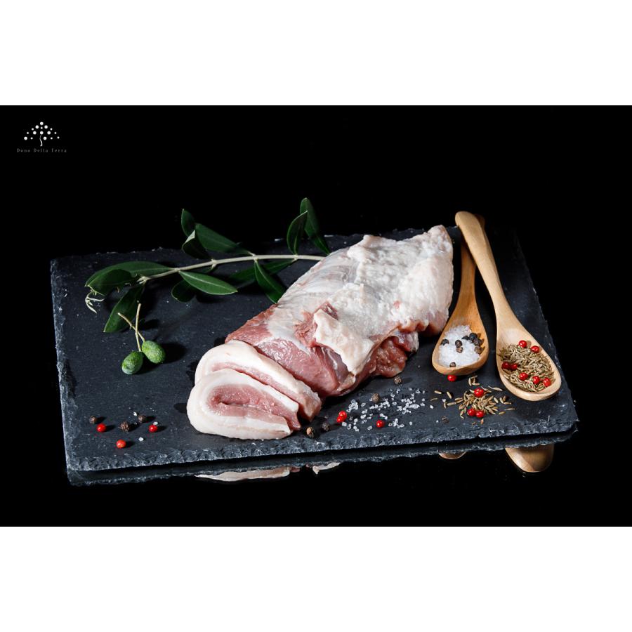 贈物 イノシシ肉 バラブロック 1 3g