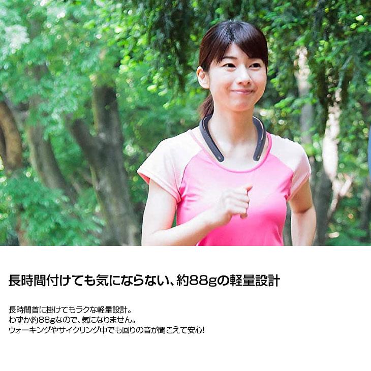 SHARP AN-SS1 サウンドパートナー 緑 グリーン SHARP AN-SS1 サウンドパートナー 緑 グリーン サウンド