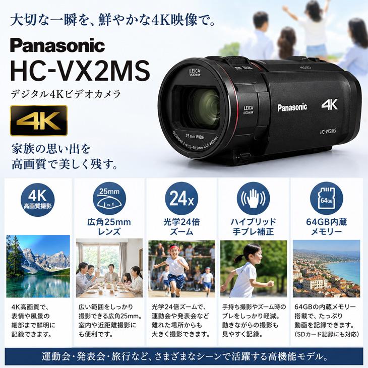 Panasonic（パナソニック） 【付属品揃った良品】Panasonic HC-VX2MS