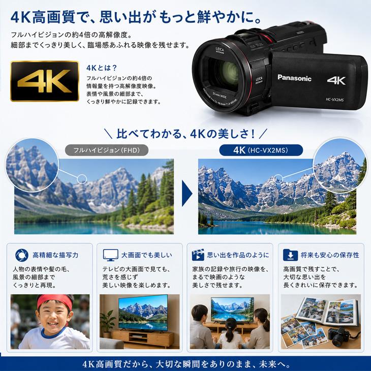 Panasonic（パナソニック） 【付属品揃った良品】Panasonic HC-VX2MS