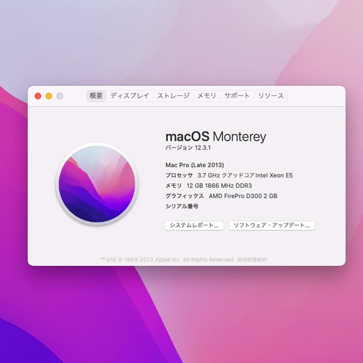 Mac Pro Apple ME253J/A A1481 Late 2013 AMD FirePro D300×2基搭載