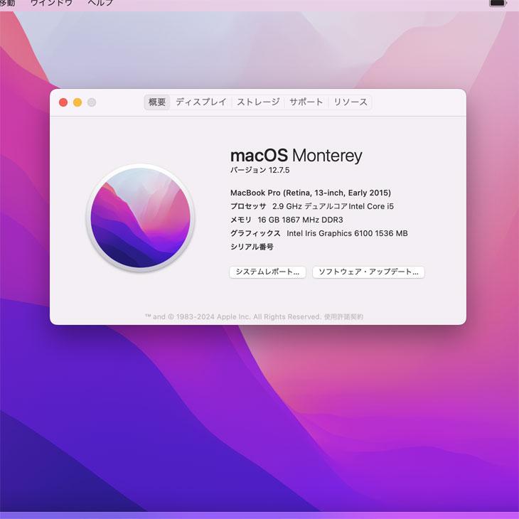 MacBook Pro Apple 13.3inch MF840J/A A1502 Early 2015 選べる