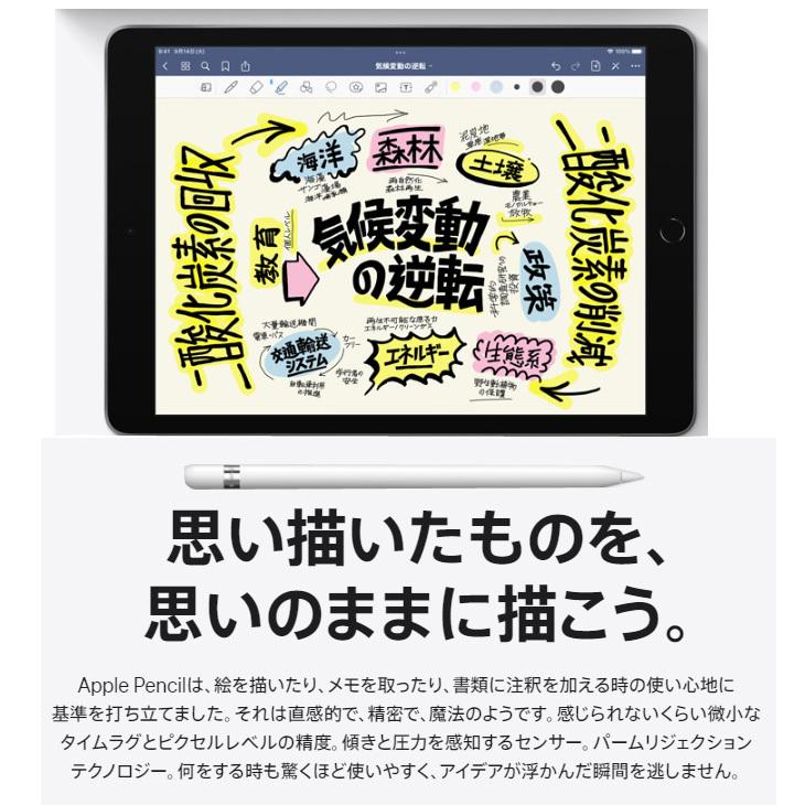 Apple アップルペンシル 純正 Pencil 第1世代 MK0C2J/A A1603 Apple アップルペンシル 純正 Pencil 第1世代 MK0C2J/A A1603