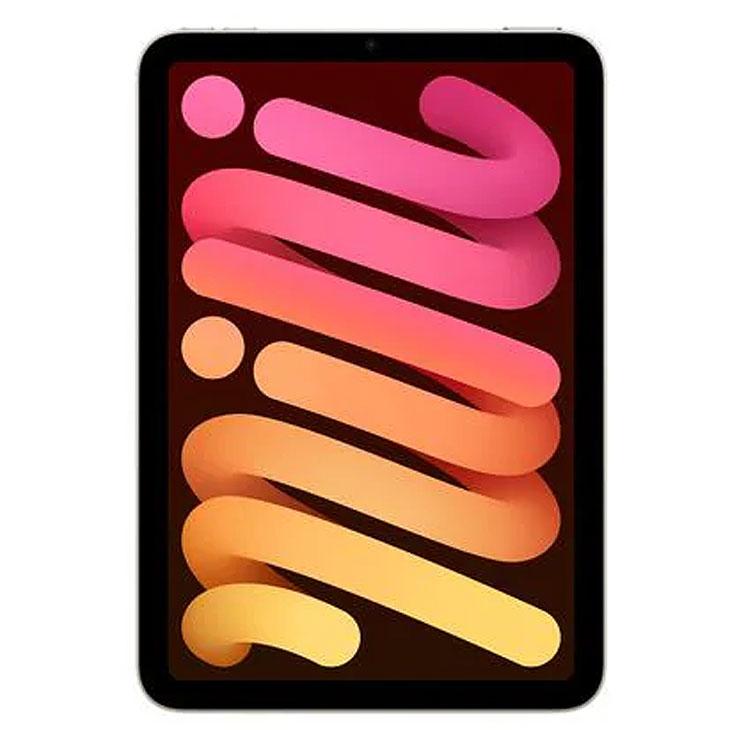 iPad 【中古パソコン】Apple mini7 MXN83ZP/A A2993 第7世代 Wi-Fi